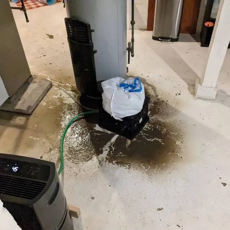 Sewage Backup Cleanup Service in Englewood Cliffs, NJ